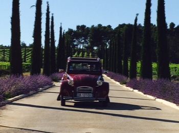 Location de voiture de prestige, mariage, 2CV 1957 à 1990